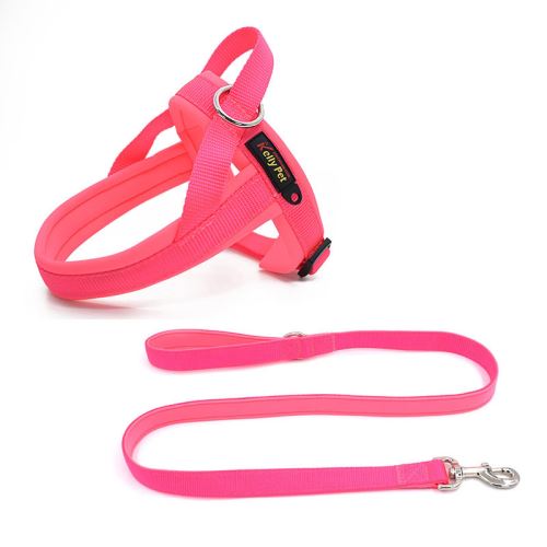 Meilleurs prix pour Harnais et Laisses KELLY Nylon kit pour chien - Rose (Taille: L)