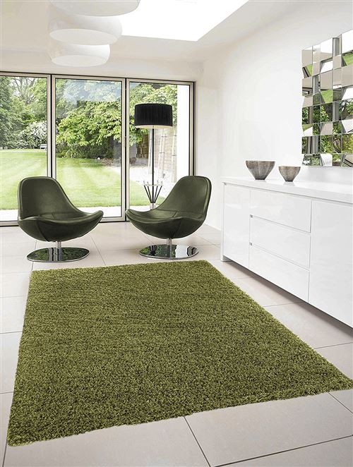 Tapis Dream 80 X 150 4000 Green Pile : 100 % Pp Heatset /Pile Hauteur : 50 Mm/Poids : 2600 Gr