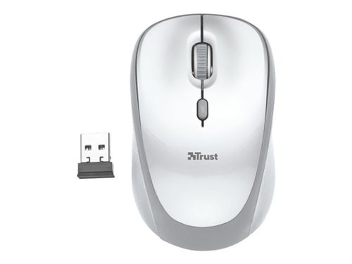 Trust Yvi - Souris - droitiers et gauchers - optique - 4 boutons - sans fil - 2.4 GHz - récepteur sans fil USB - blanc