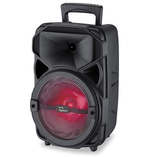 Enceinte professionnelle Bluetooth avec radio, 10W. RMS/Rechargeable, USB