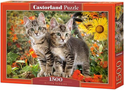 Castorland puzzle Kitten Buddies 68 cm carton 1500 pièces