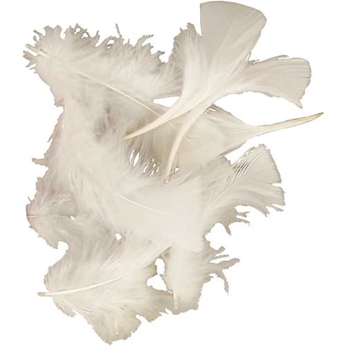 Creotime plumes de dinde longueur 7-8 cm 50 grammes blanc
