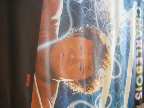 Robert CHARLEBOIS - 115x165 cm - AFFICHE / POSTER