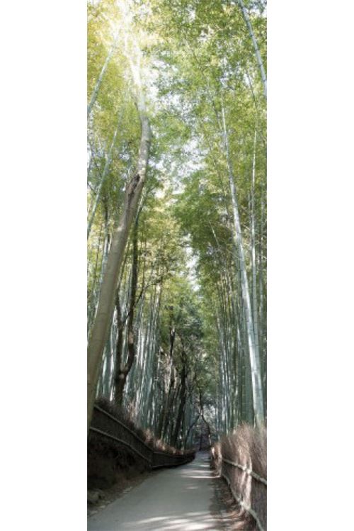 Bambous Poster Reproduction - Sentier De Bambou (91x30 cm)