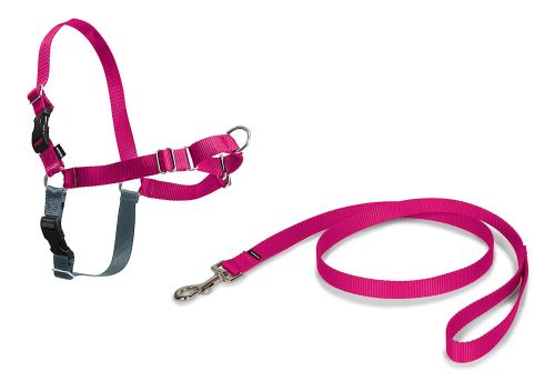 PetSafe - Harnais pour Grand Chien Easy Walk (L) - Résistant et Anti-Traction - 4 points de Réglage - Framboise