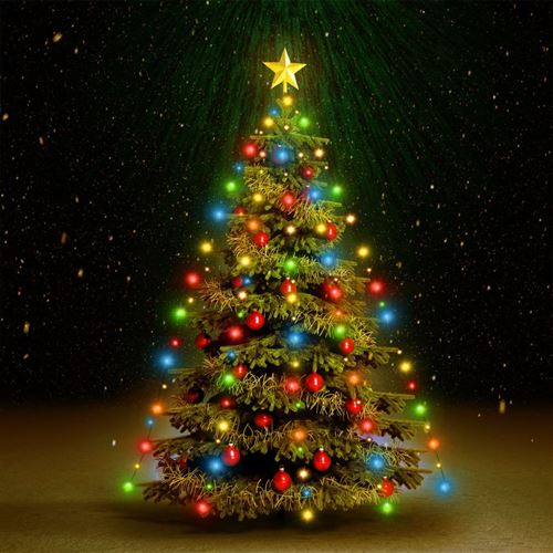 VidaXL Guirlande lumineuse d'arbre de Noël 210 LED colorées 210 cm