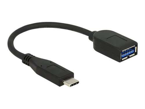 Delock Premium - Adaptateur USB - USB type A (F) pour USB-C (M) - USB 3.1 Gen 2 - 10 cm - noir