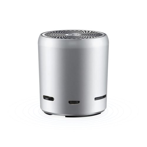 Enceinte Bluetooth EWA A109Pro Gris