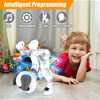 Chien Robot Robots Jouets Pour Enfants, Robots Télécommandés Programmables Pour Enfants, Anniversaires, Noël, Cadeaux Du Nouvel An Pour Garçons - Jeux - Jouets Robot Enfant Chien Robot Robots Jouets Pour Enfants, Robots Télécommandés Programmables Pour Enfants, Anniversaires, Noël, Cadeaux Du Nouvel An Pour Garçons - Jeux - Jouets Robot Enfant