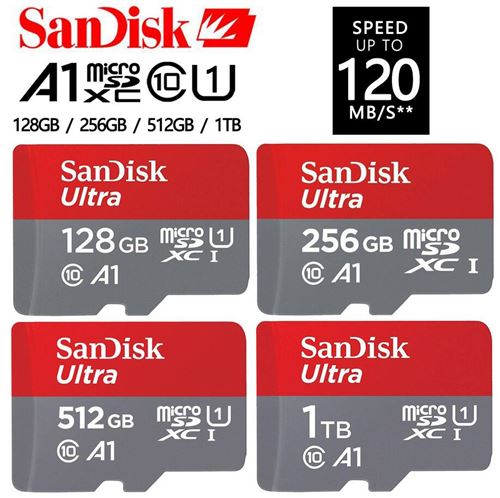 Carte Micro SD 128/256 GB, Carte mémoire UHS-I, Carte TF Classe 10 -  Jusqu'à 104 MB/s, A1, Stockage étendu pour caméra de surveillance & sécurité