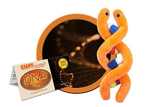 GIANTMicrobes - Peluche éducative ADN (acide désoxyribonucléique)