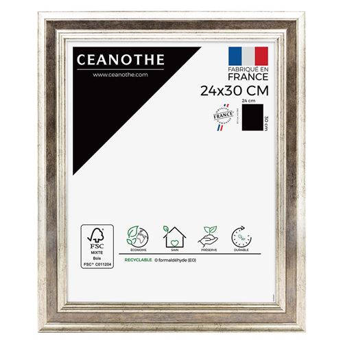 Cadre photo Gaia argent 24x30 cm, Résine plastique - marque française