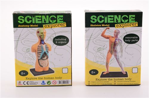 Science Explorer Découvrez le corps 2 assortis