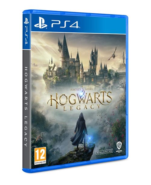 Warner Bros Hogwarts Legacy Standard PlayStation 4