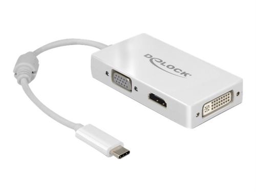 Delock - Adaptateur vidéo externe - USB-C - DVI, HDMI, VGA - blanc