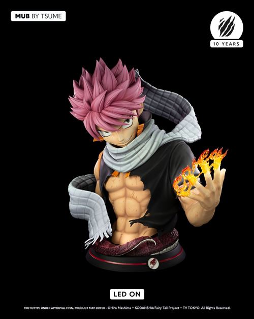 Natsu Dragneel - Accueil