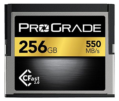 ProGrade Digital Incorporated Carte mémoire C Fast 2.0 256GB