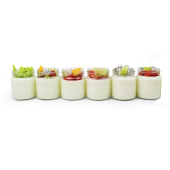 Yaourtiere Machine Pour Yaourt Fait Maison Bol A Yaourt Avec Tamis Et 6 Pots 30 6 X 25 X 12 4 Cm Blanc Capacite Par Pot 0 21 L Achat Prix Fnac