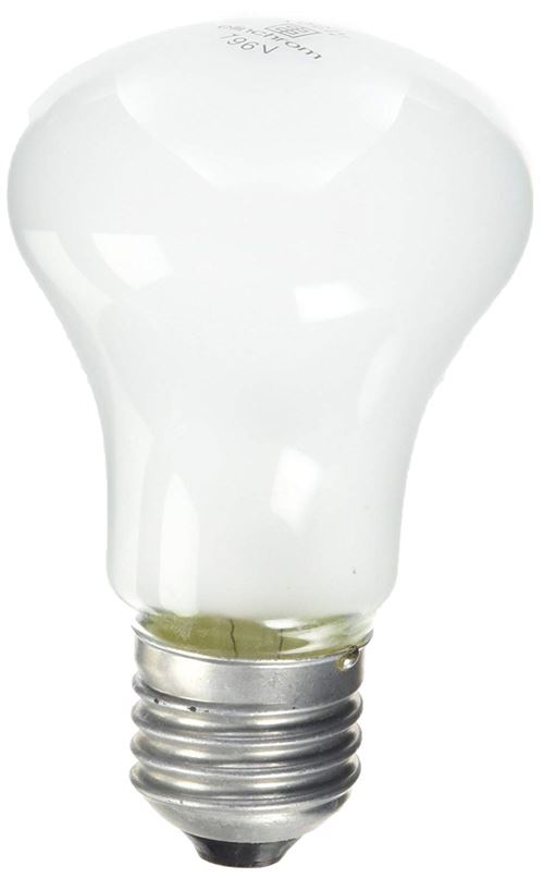 ELINCHROM lampe pilote 100W 196V pour torche D-lite