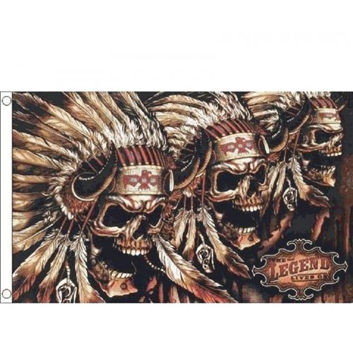 drapeau crane indien plume tete de mort flag country 150x90