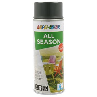 Bombe de peinture - Extra robuste - Gris - RAL 7011 - Brillant - Tous supports - All season - 1