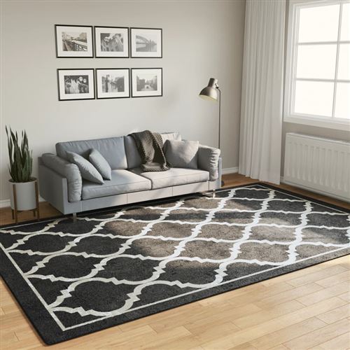 vidaXL Vloerkleed wasbaar anti-slip 190x300 cm zwart en wit136607