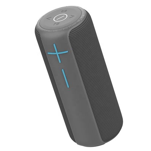 Enceinte sans fil HOPESTAR P21 Portable Waterproof Gris