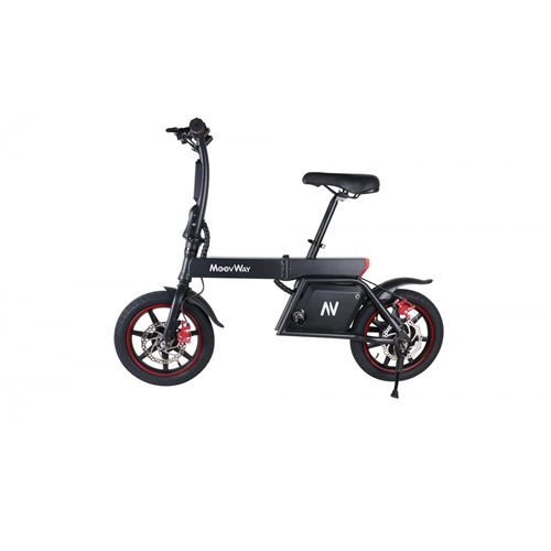 E Bike Velo Electrique Geant Casino Draisienne Electrique Geant