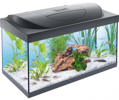 Tetra - Aquarium Tetra starter line 54L