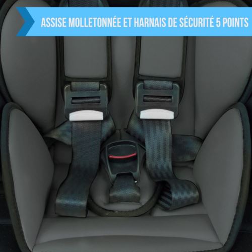 Siege Auto Nania Befix Groupe 2/3 (15-36kg ) - 4 Étoiles Adac - Linea Gris  à Prix Carrefour