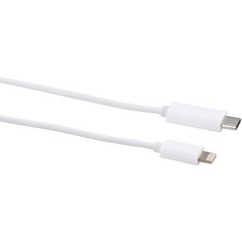 VSHOP ® 1 m Cable connecteur Lightning Apple male vers connecteur USB - C  male