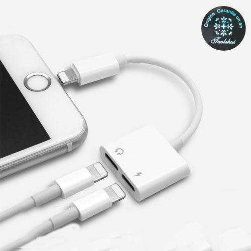 Adaptateur Lightning vers HDMI TV AV Câble Pour iPad iPhone [Connectique  micro] - Câble et connectique HiFi - Achat & prix