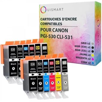 Pack 10 Cartouches OuiSmart Compatibles PGI-530 CLI-531 - Pour Canon TS8750 Et Autres - Multicolor