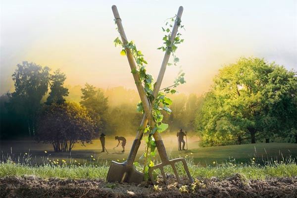 5 documentaires pour célébrer la nature : changer le monde, c’est possible !