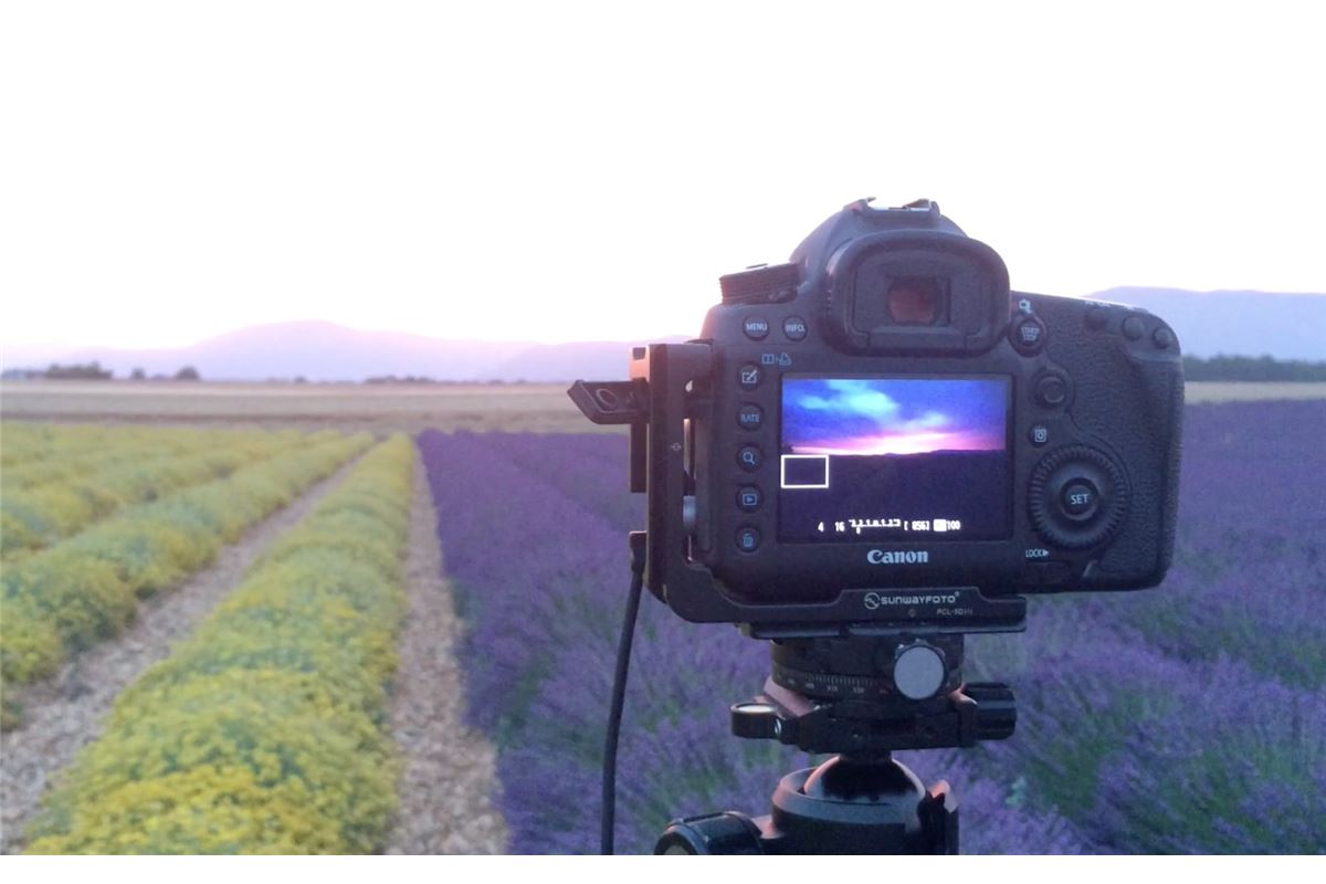 Révélez les couleurs de vos photos