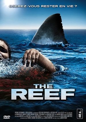 the reef