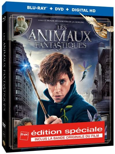 Les-Animaux-Fantastiques-Edition-Speciale-Fnac-Combo-Blu-ray-DVD