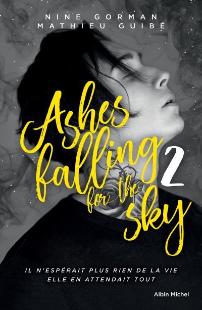 Ashes-falling-for-the-sky