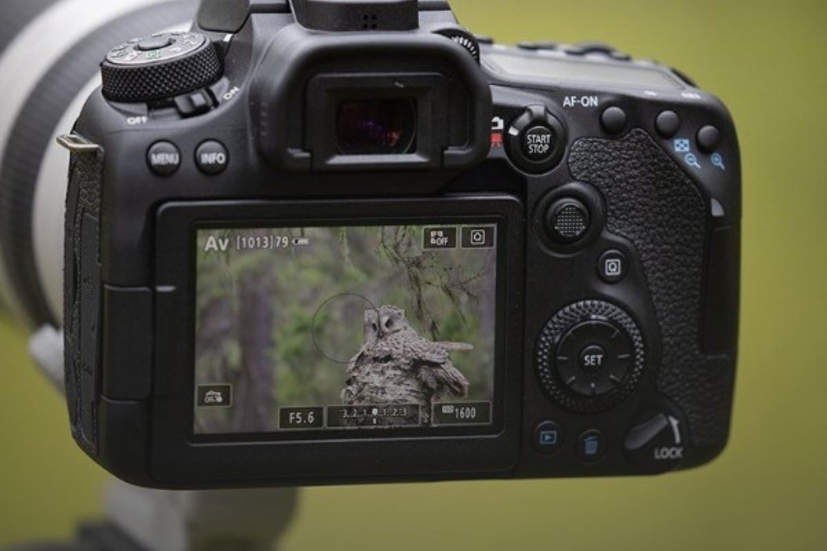 Canon EOS 90D, armé pour la bataille des reflex