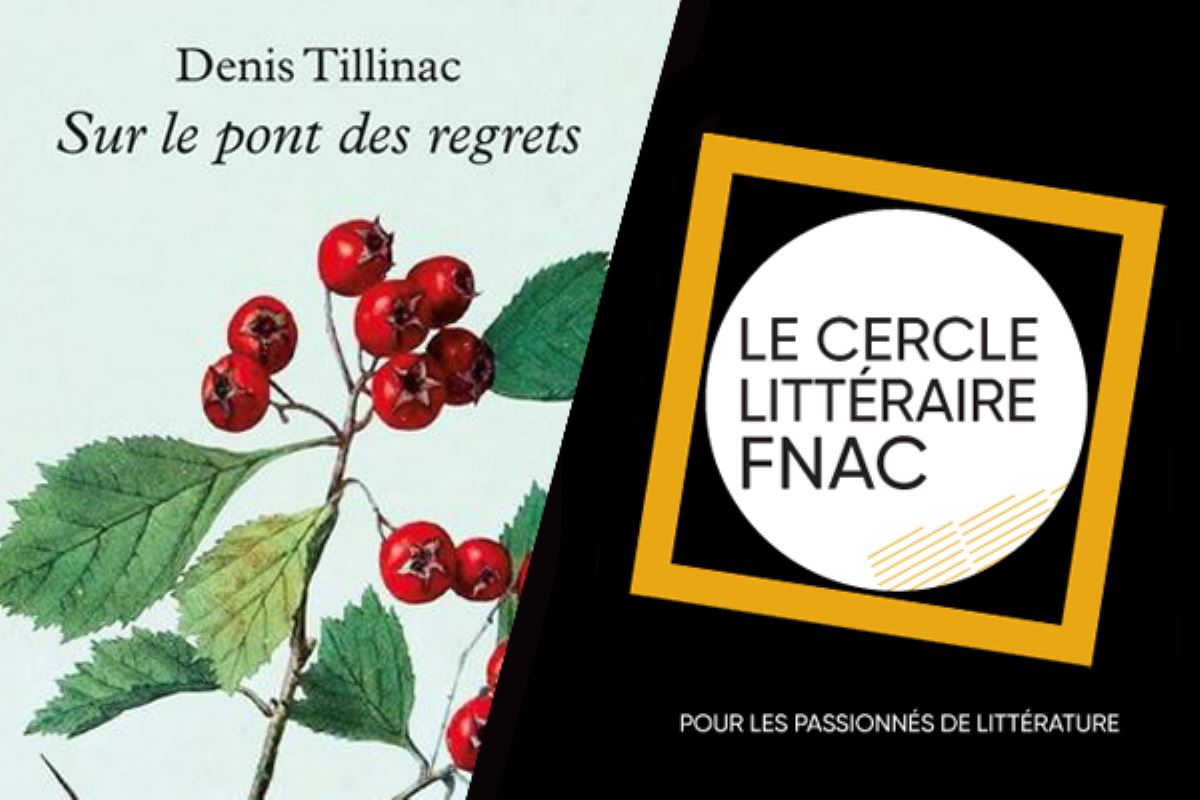 Une traversée poétique sur le Pont des regrets de Denis Tillinac