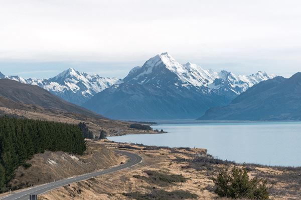 Les particularités du cinéma néozélandais