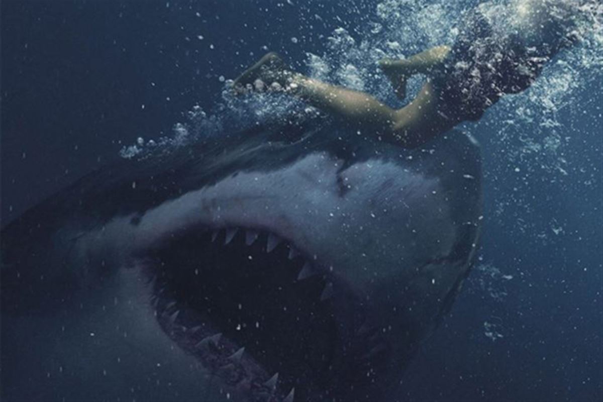 Les meilleurs films avec des requins et autres monstres aquatiques