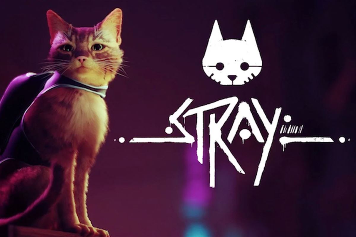 Stray : votre rêve d’incarner un chat enfin exaucé en jeu vidéo