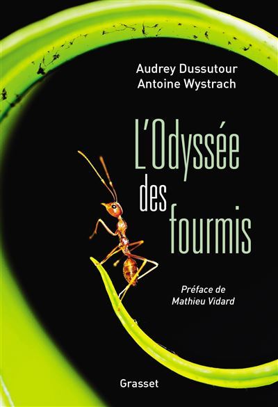 L-Odyee-des-fourmis