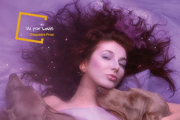 洋楽 Placebo Running Up That Hill Kate Bush Kate Bush - Running Up That Hill - : Kate Bush: Amazon.fr