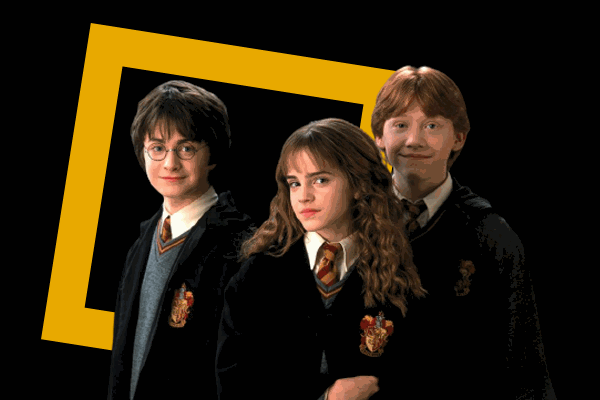 Les 10 meilleurs cadeaux à offrir à des adultes fans de Harry Potter™