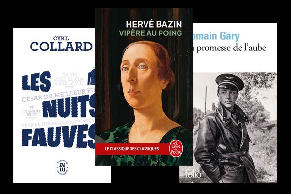 Les romans autobiographiques d'hier et aujourd'hui - Du personnel à l ...