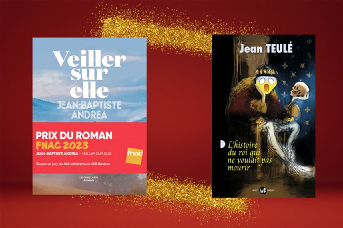 Des livres à offrir pour Noël : notre sélection Romans