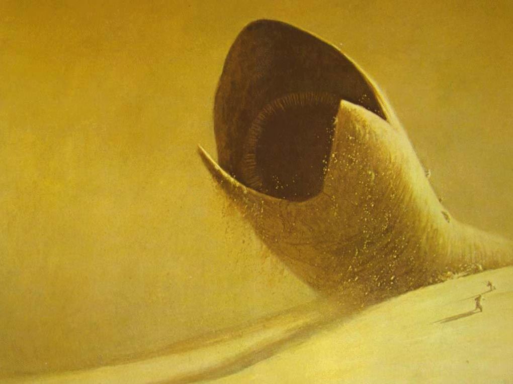 Dune Lynch