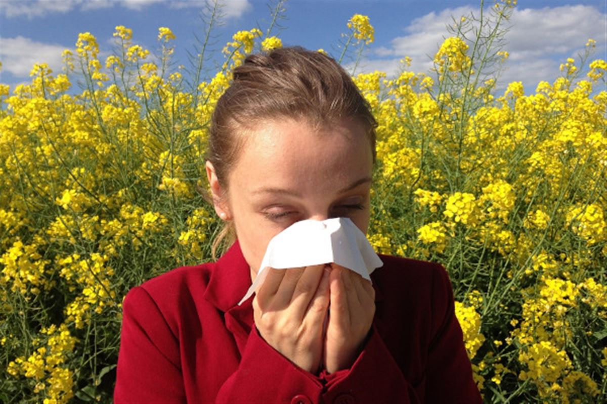 Comment lutter contre les allergies ?
